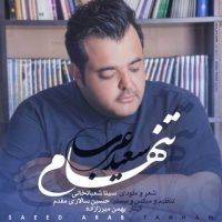 دانلود آهنگ جدید سعید عرب به نام تنهام با لینک مستقیم