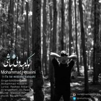 دانلود آهنگ جدید محمد حسینی به نام تو که میدونی نباشی با لینک مستقیم