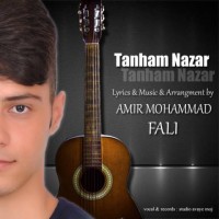 دانلود آهنگ جدید امیرمحمد فالی به نام تنهام نذار با لینک مستقیم