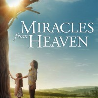 دانلود رایگان فیلم معجزه های ملکوتی ۲۰۱۶ با لینک مستقیم