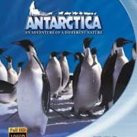 دانلود مستند خارجی قاره قطب جنوب ۱۹۹۱ با لینک مستقیم