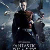 دانلود مستقیم فیلم خارجی Fantastic Beast and Where To Find Them 2016 از سرور سایت